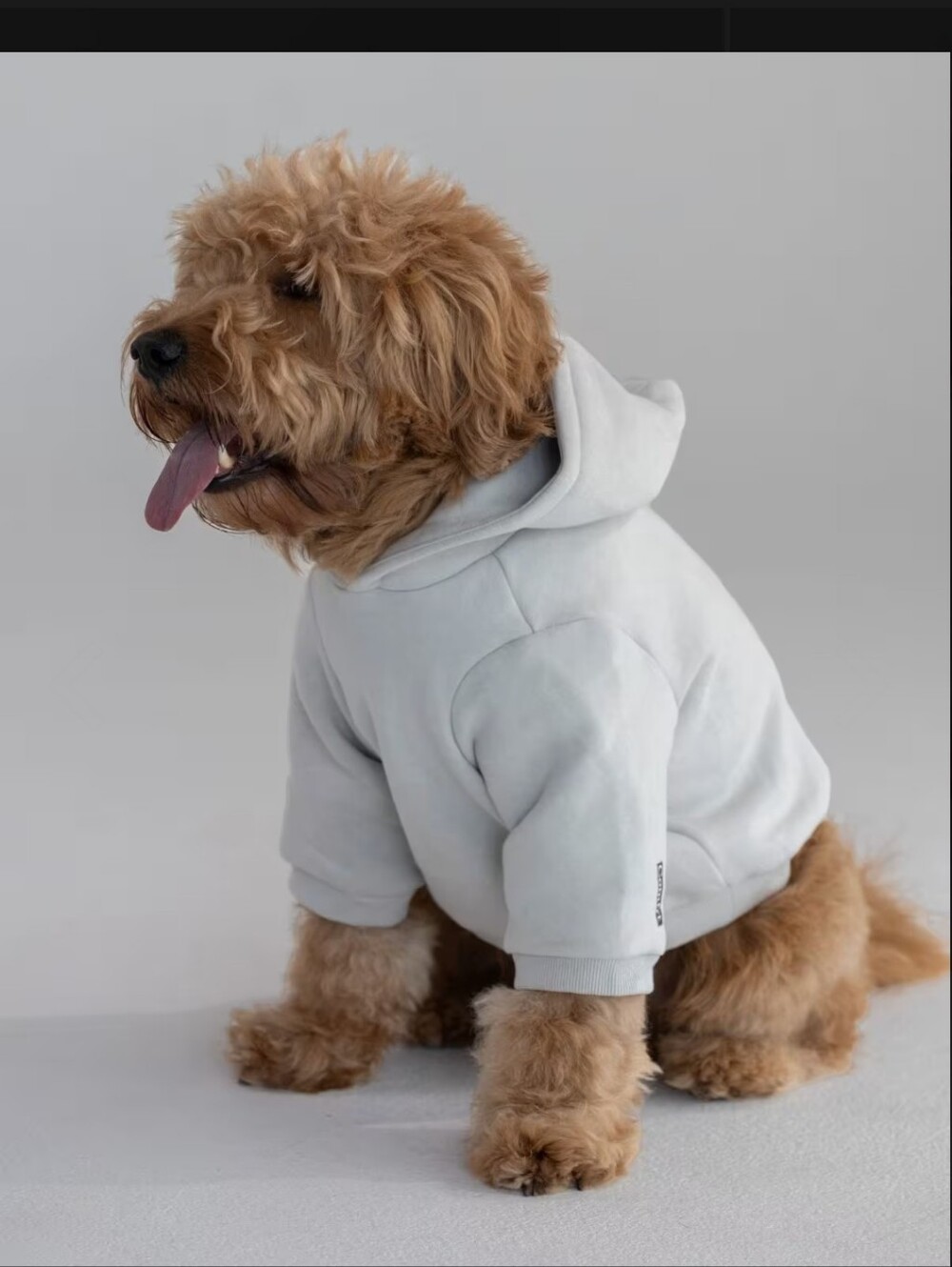 Comfrt Paw Hoodie Size Small